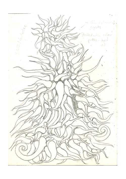 Student Work Phan Thuy Trang LCDF Hanoi (3).jpg