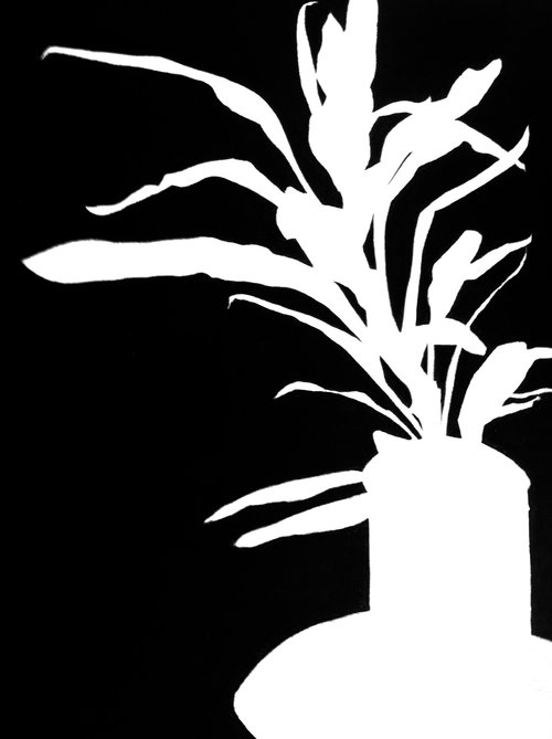 negative-space-plant-drawing.jpg